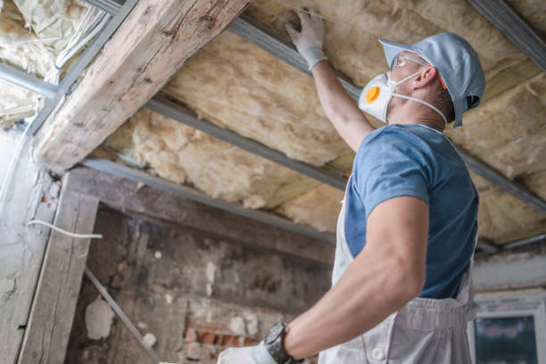 Best Types of Insulation in Percy, IL