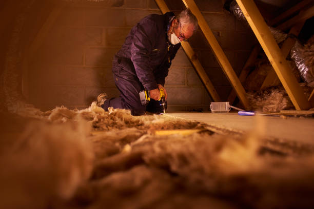 Best Specialty Insulation in Percy, IL