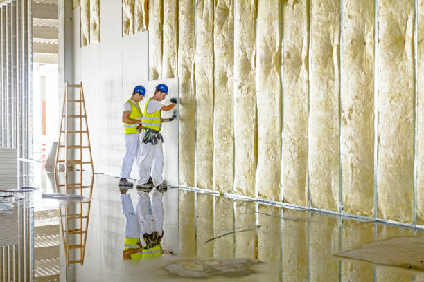 Best Insulation Installation Services in Percy, IL